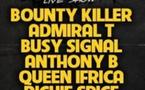 Reggae Splash Tour