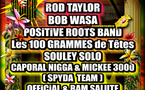 Bikini Festival Roots Vibrations #2