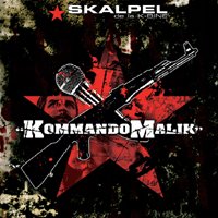 Skalpel 'Kommando Malik'