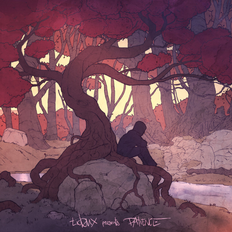 "Patience", l'album instrumental de Tideux disponible en CD & Digital