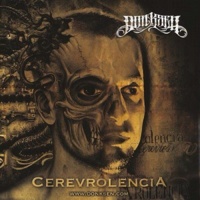 L'album 'Cerevrolencia' de Don K.Sen disponible en CD et Digital L'album 'Cerevrolencia' de Don K.Sen disponible en CD et Digital