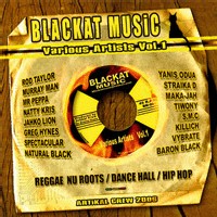 Artikal Crew présente 'Blackat Music Various Artists Vol 1'