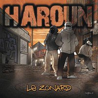 Nouveau maxi vinyl d'Haroun 'Le Zonard'
