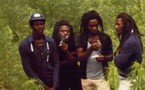 Easy Style 'Cultural Vibes 2'