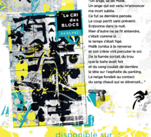 Sortie du livre "Le cri des blocs" de Skalpel le 03 mai 2022