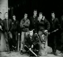DVD 'Antifa - Chasseurs de skins'