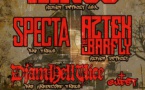 Suicide Kings / Specta / Djamhellvice / Resk-P & L-zac