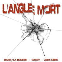 L'album de Zone Libre, Hamé & Casey pour le 16 février 2009
