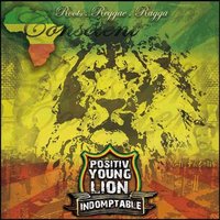 2ème album du Positiv' Youth Lion, 'Indomptable', en mars 2010