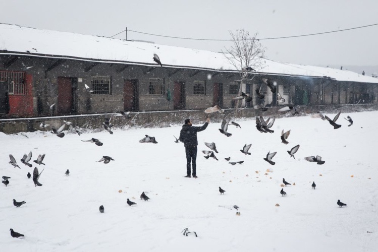 Emission "Frontline" du 22 mars 2019 autour de la photographie engagée Emission "Frontline" du 22 mars 2019 autour de la photographie engagée